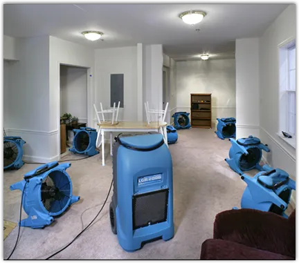 Mold Remediation & Removal in Nevada, MO