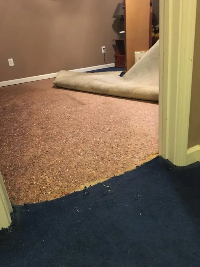 Carpet pad removal revealing water damage during Drying & Dehumidification in Nevada