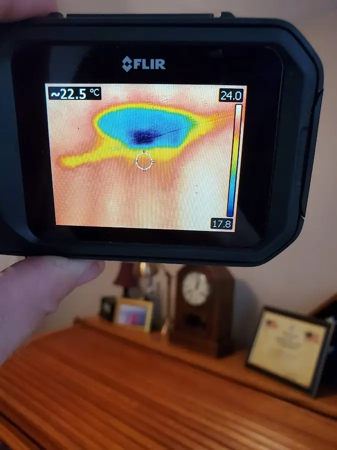 Thermal imaging inspection for water damage in Nevada