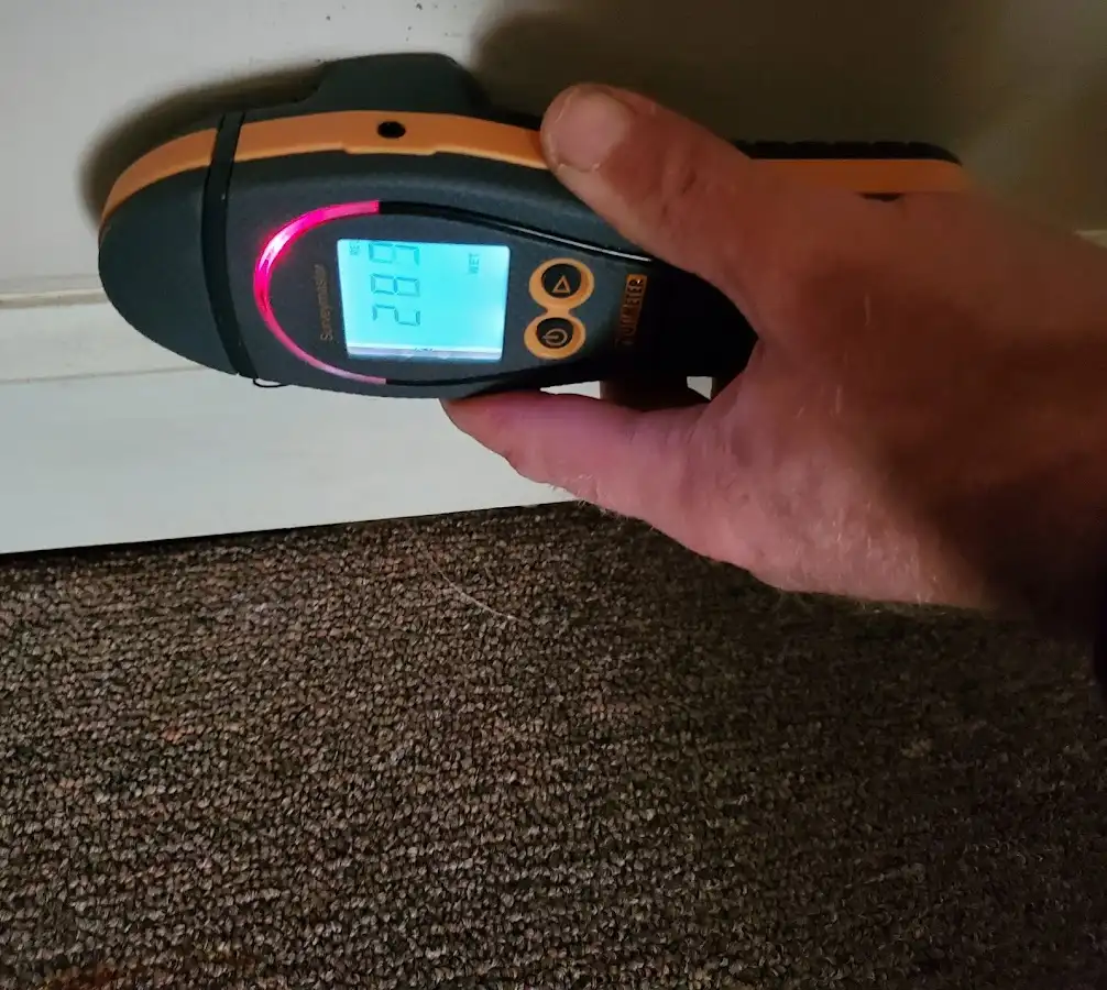 Moisture detection at baseboard during Sewage Cleanup & Sanitation in Nevada
